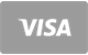 Visa Kreditkarte bei Panteon Casino